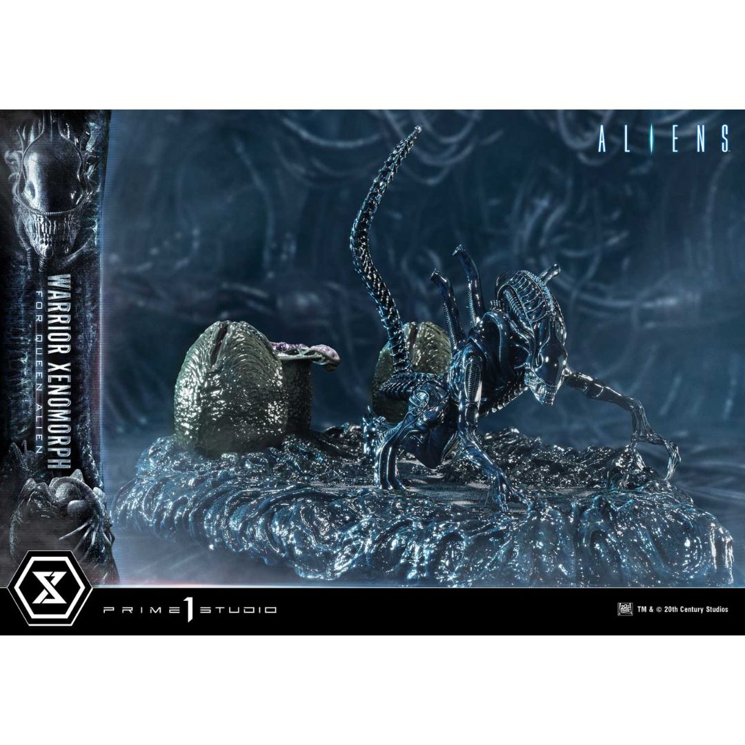 Aliens Warrior Xenomorph By Prime1 Studios