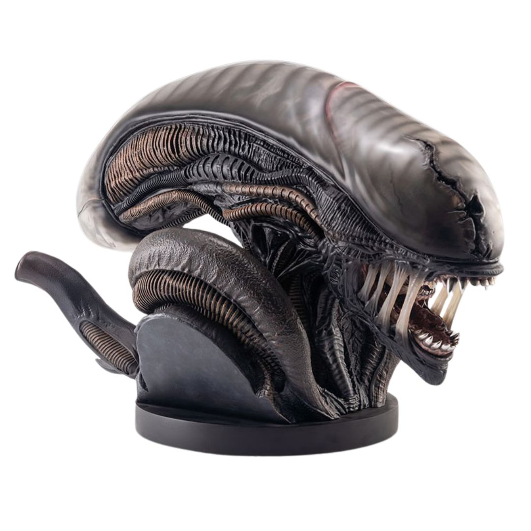 Xenomorph Life-Size Bust By Hollywood Collectibles Group -Hollywood Collectibles Group - India - www.superherotoystore.com