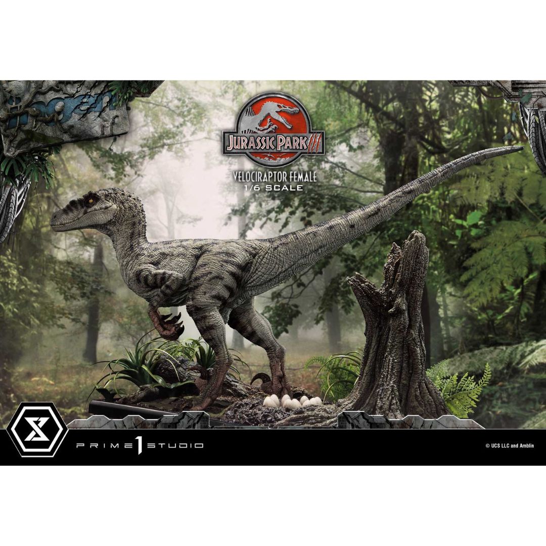 Jurassic Park III (Film) Velociraptor Female Bonus Version Statue by Prime1 Studios -Prime 1 Studio - India - www.superherotoystore.com