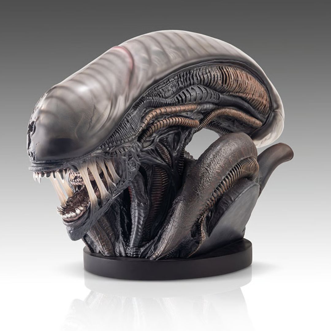Xenomorph Life-Size Bust By Hollywood Collectibles Group -Hollywood Collectibles Group - India - www.superherotoystore.com