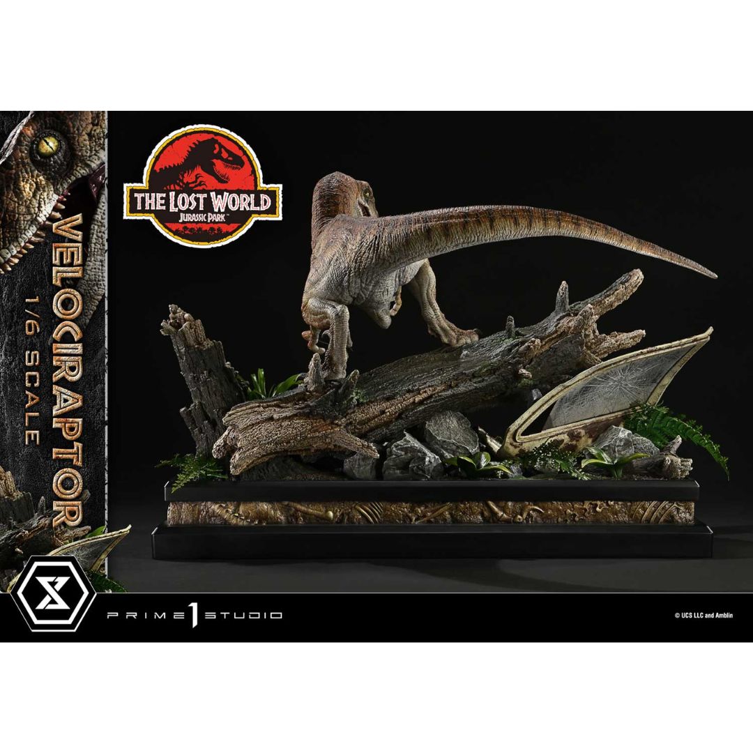 The Lost World: Jurassic Park (Film) Velociraptor By Prime1 Studios