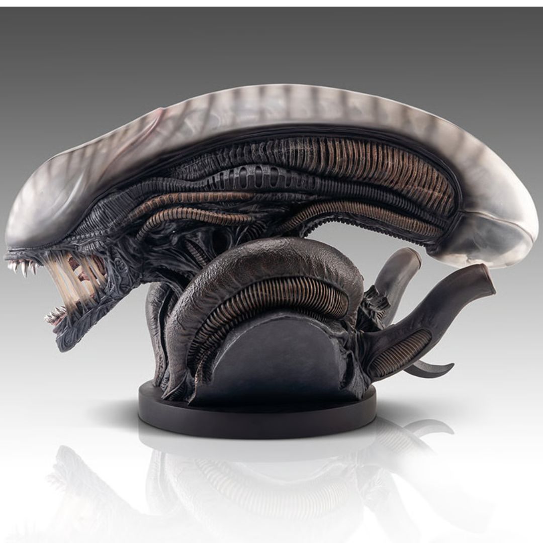 Xenomorph Life-Size Bust By Hollywood Collectibles Group -Hollywood Collectibles Group - India - www.superherotoystore.com