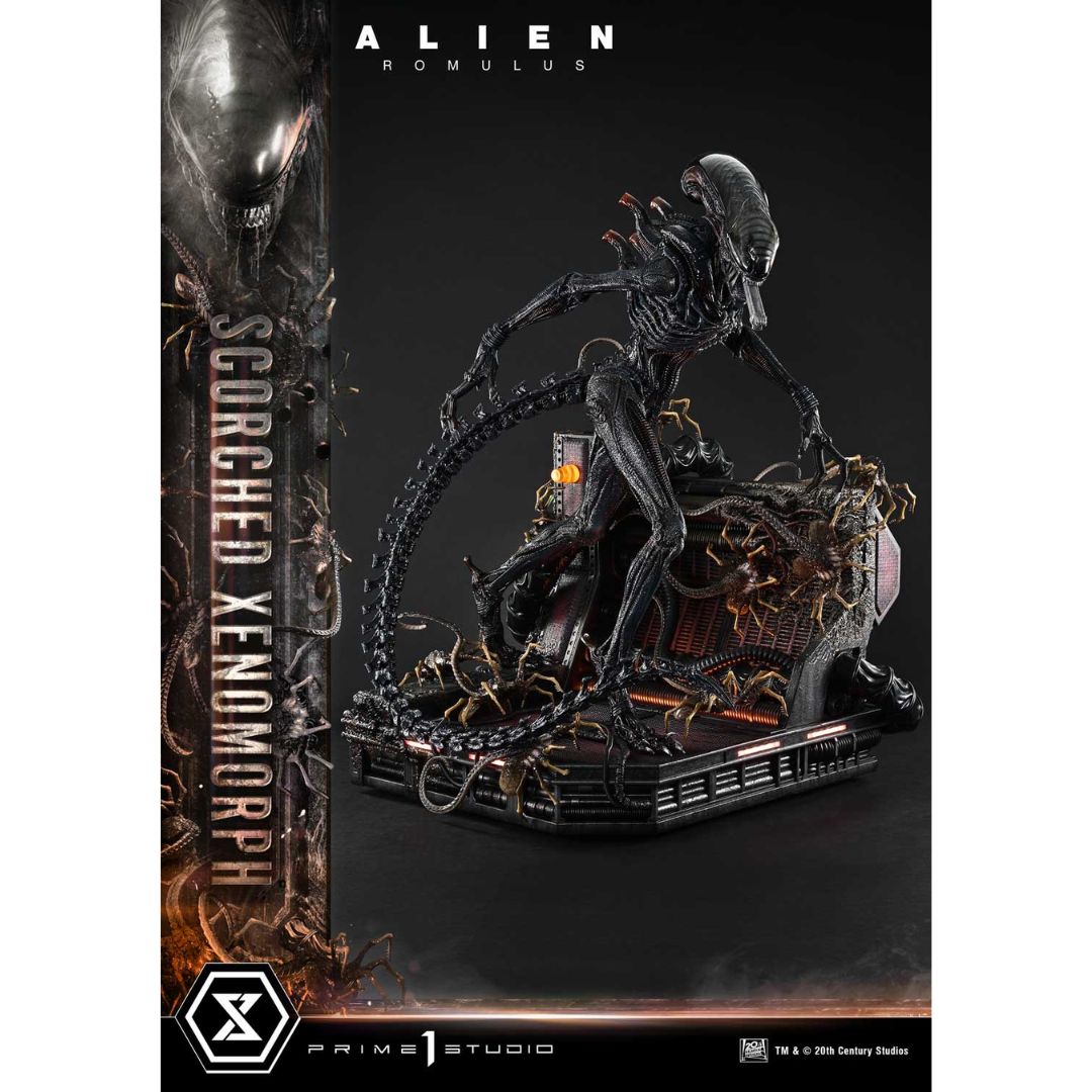 Alien: Romulus Scorched Xenomorph Deluxe Statue By Prime1 Studios -Prime1 Studios - India - www.superherotoystore.com