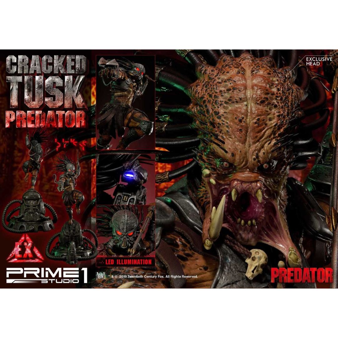 Predator (Comics) Cracked Tusk Predator Statue By Prime1 Studios