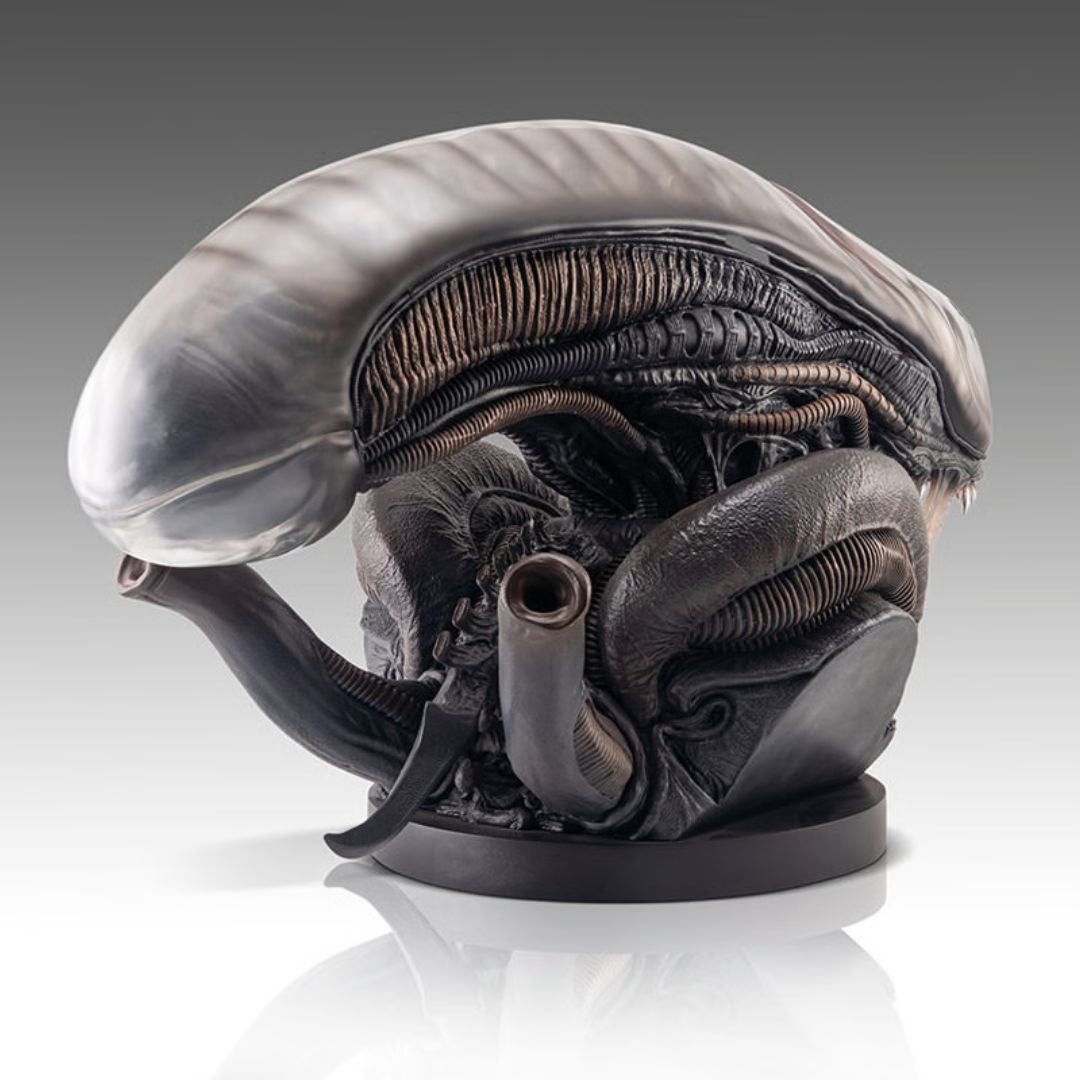 Xenomorph Life-Size Bust By Hollywood Collectibles Group -Hollywood Collectibles Group - India - www.superherotoystore.com