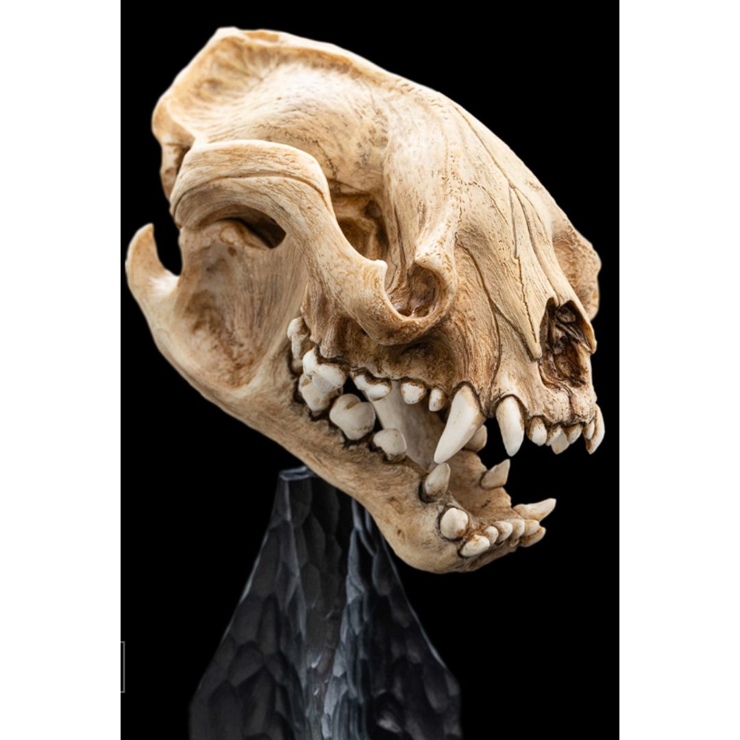 The Lord Of The Rings Skull Of A Warg Miniature Statue By Weta Workshop -Weta Workshop - India - www.superherotoystore.com