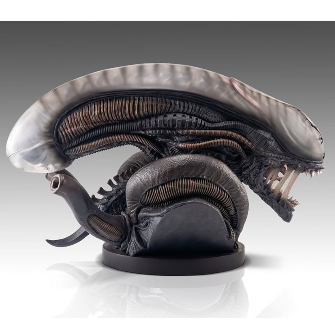 Xenomorph Life-Size Bust By Hollywood Collectibles Group -Hollywood Collectibles Group - India - www.superherotoystore.com