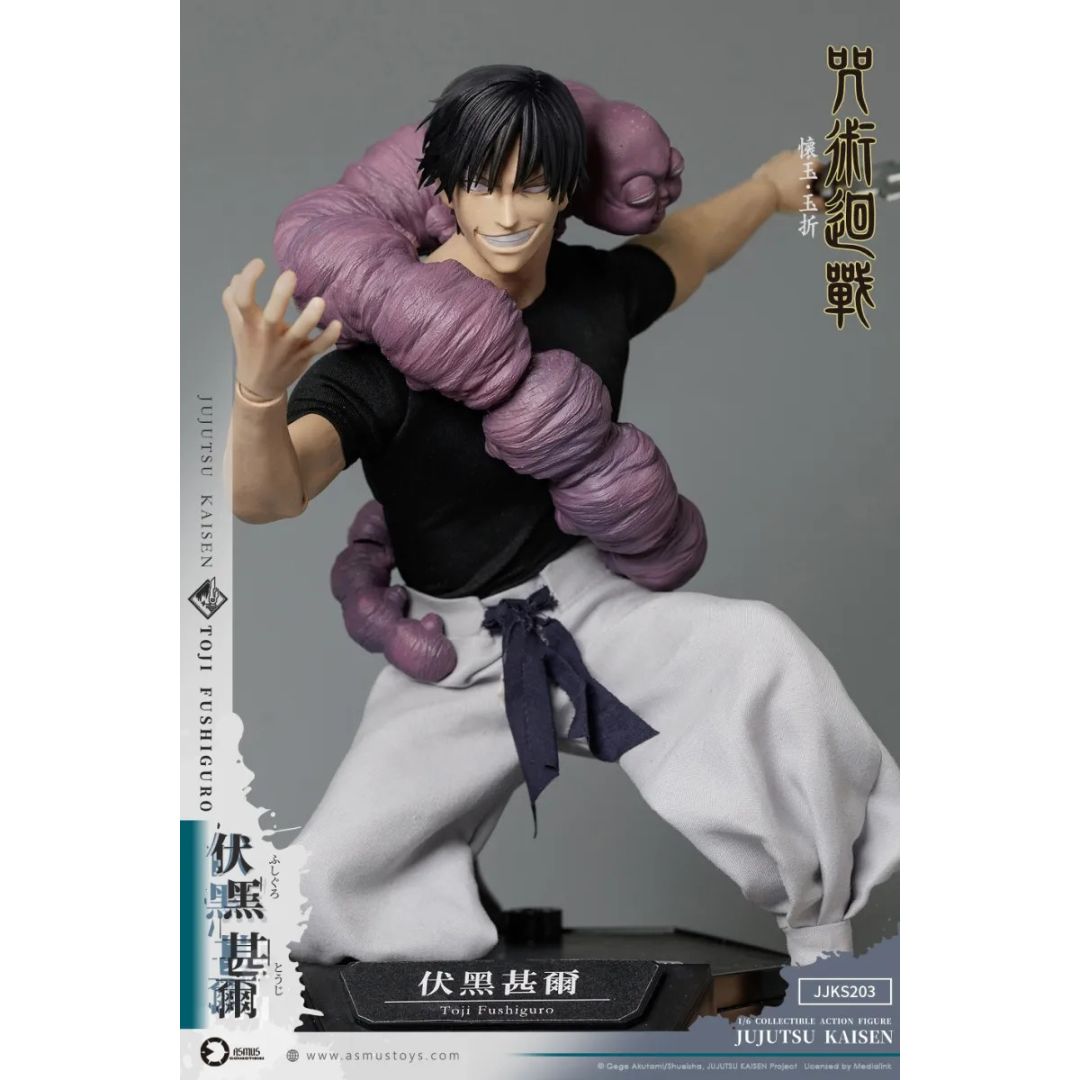 Jujutsu Kaisen Toji Fushiguro By Asmus Toys