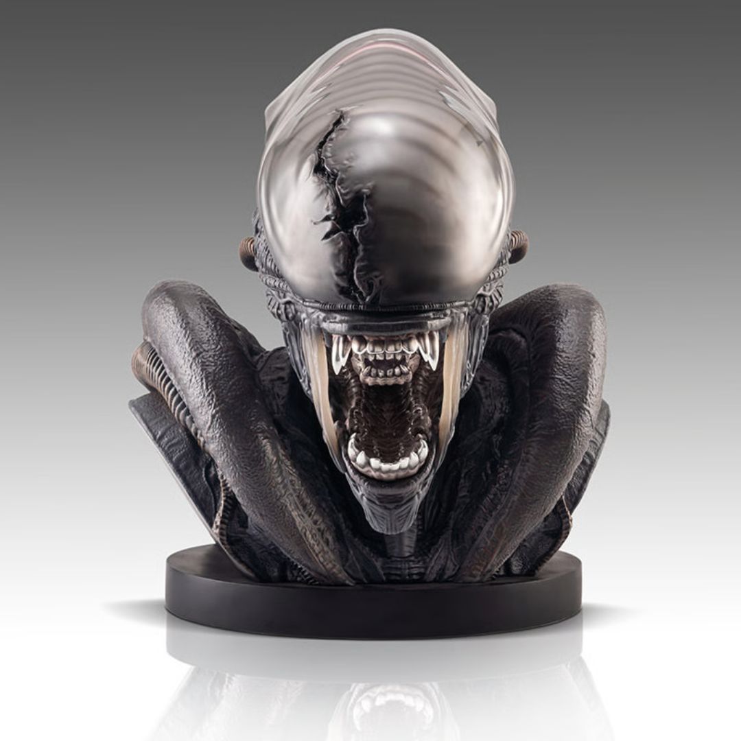 Xenomorph Life-Size Bust By Hollywood Collectibles Group -Hollywood Collectibles Group - India - www.superherotoystore.com