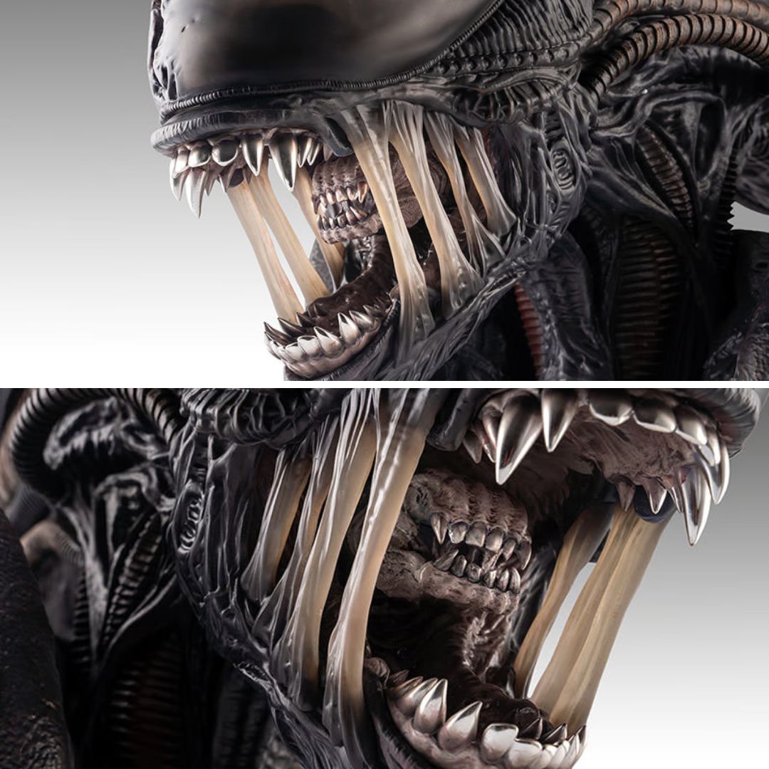 Xenomorph Life-Size Bust By Hollywood Collectibles Group -Hollywood Collectibles Group - India - www.superherotoystore.com