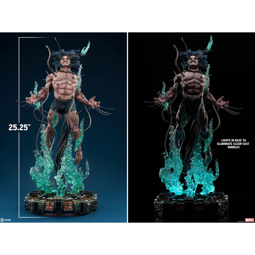 Wolverine: Weapon X Premium Format Statue By Sideshow Collectibles -Sideshow Collectibles - India - www.superherotoystore.com
