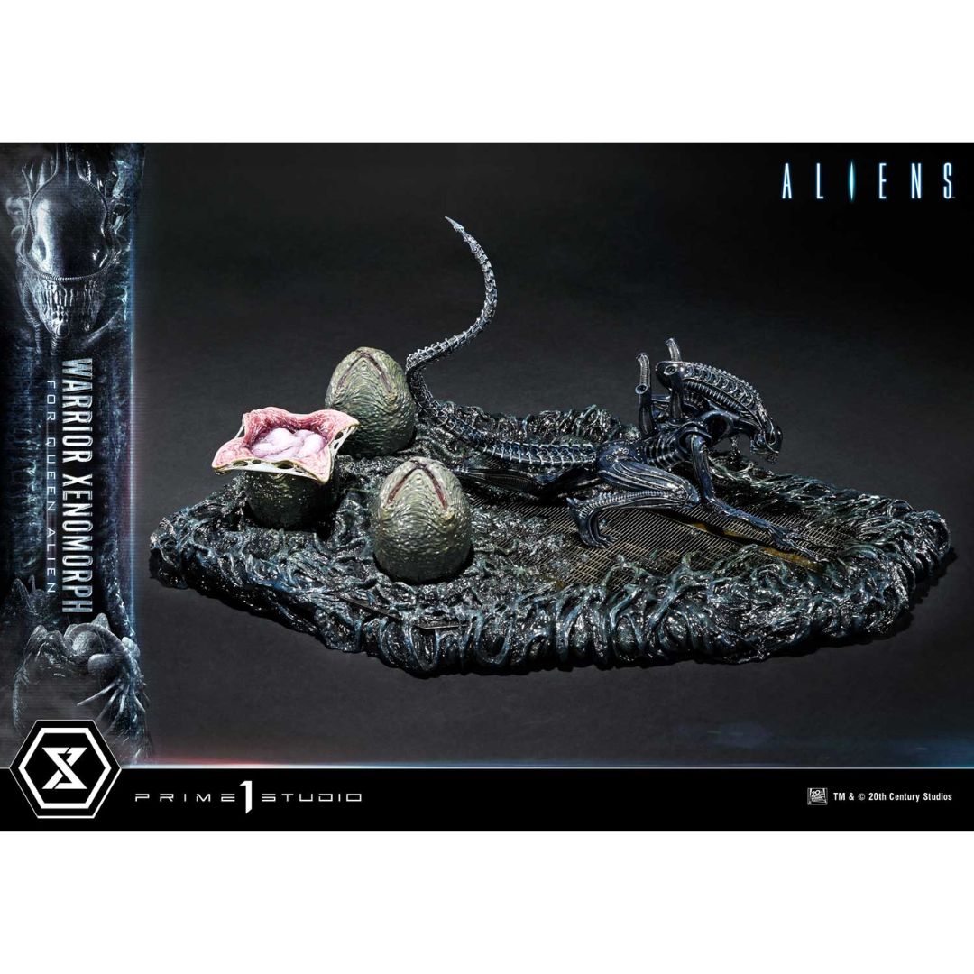 Aliens Warrior Xenomorph By Prime1 Studios