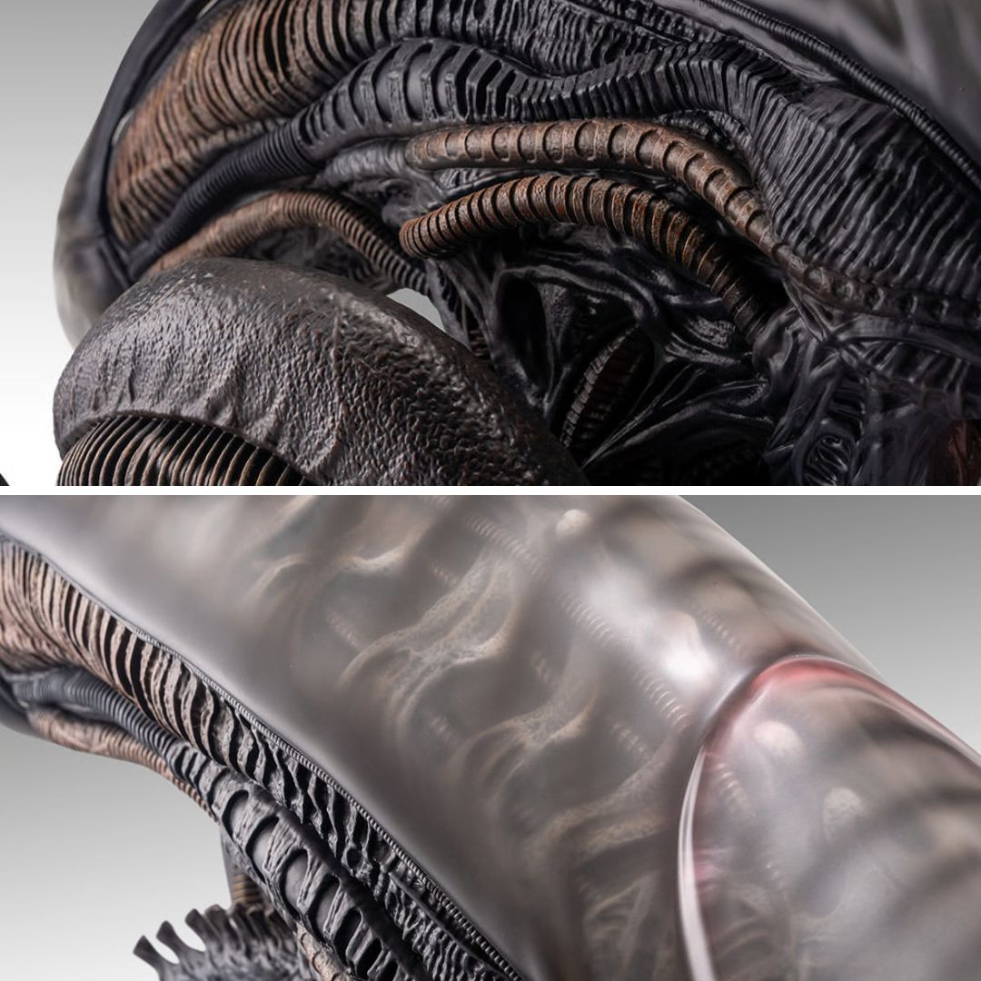 Xenomorph Life-Size Bust By Hollywood Collectibles Group -Hollywood Collectibles Group - India - www.superherotoystore.com