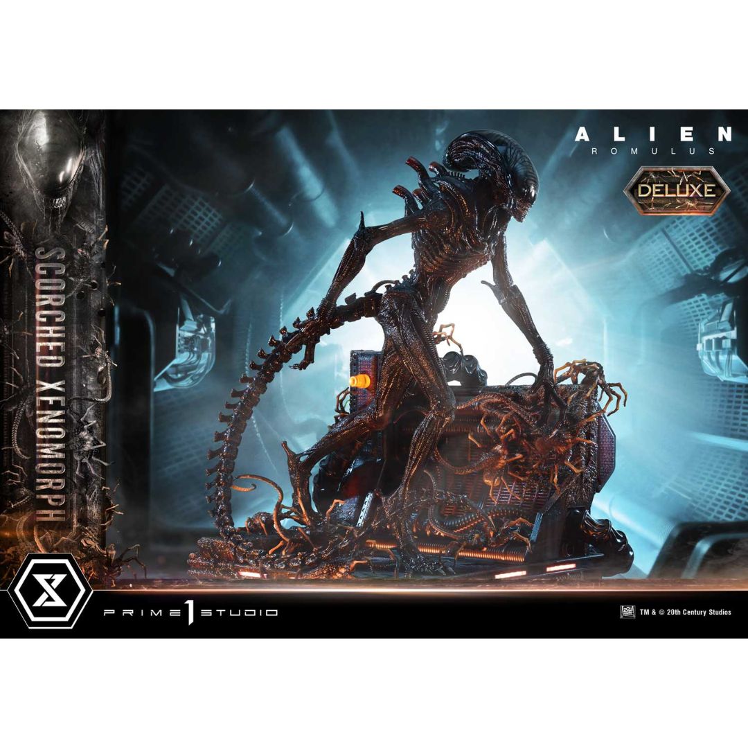 Alien: Romulus Scorched Xenomorph Deluxe Statue By Prime1 Studios -Prime1 Studios - India - www.superherotoystore.com
