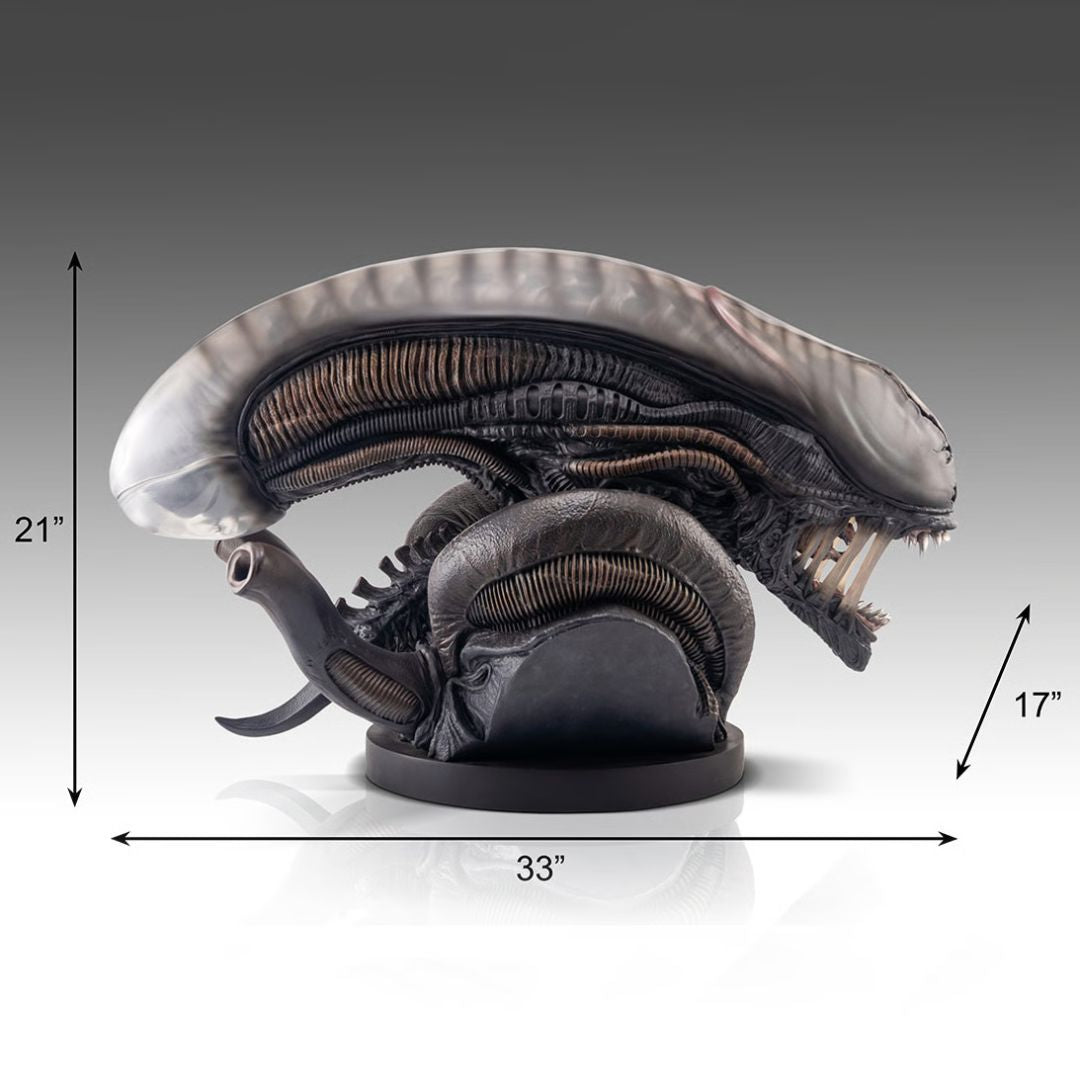 Xenomorph Life-Size Bust By Hollywood Collectibles Group -Hollywood Collectibles Group - India - www.superherotoystore.com