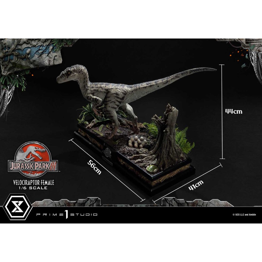 Jurassic Park III (Film) Velociraptor Female Bonus Version Statue by Prime1 Studios -Prime 1 Studio - India - www.superherotoystore.com
