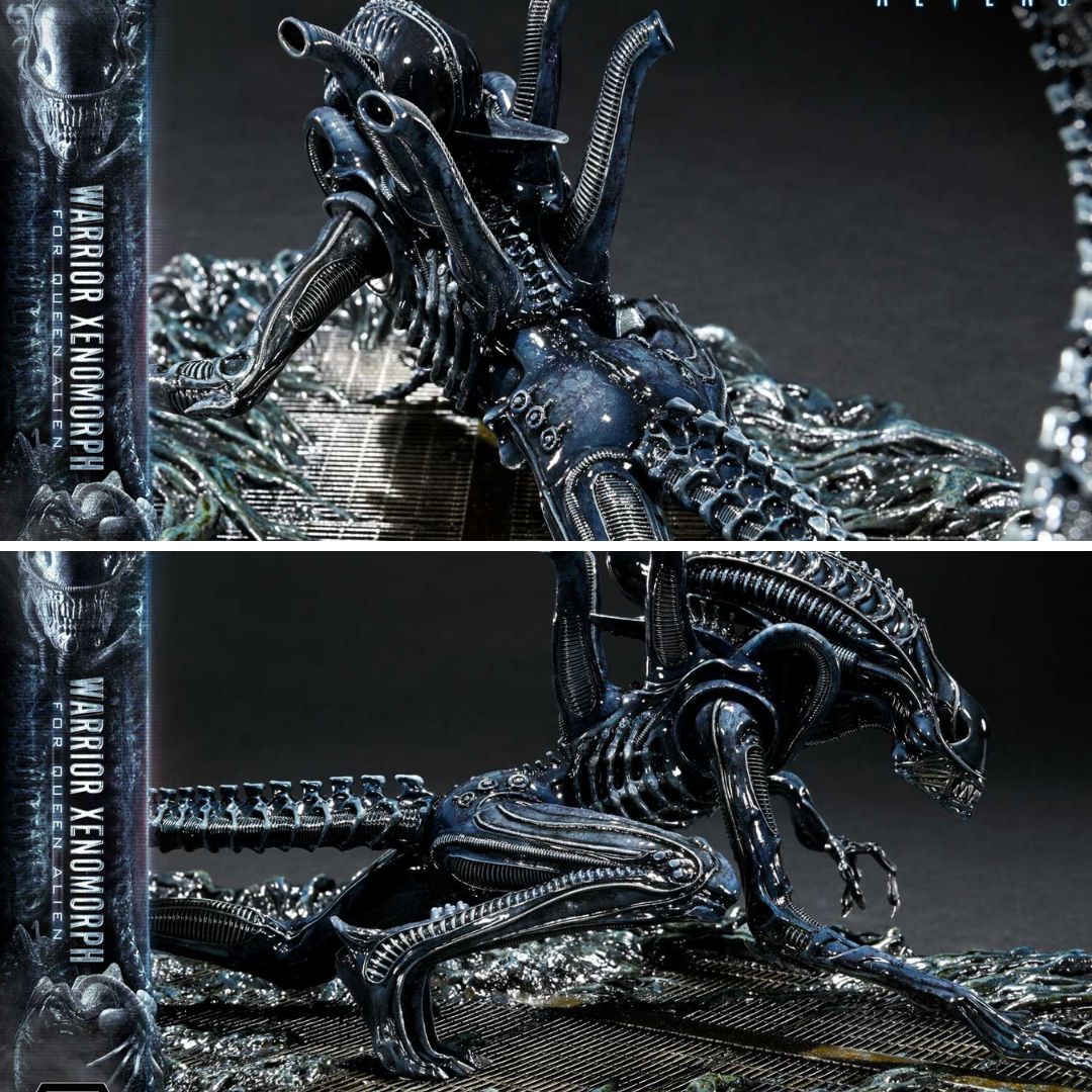 Aliens Warrior Xenomorph By Prime1 Studios