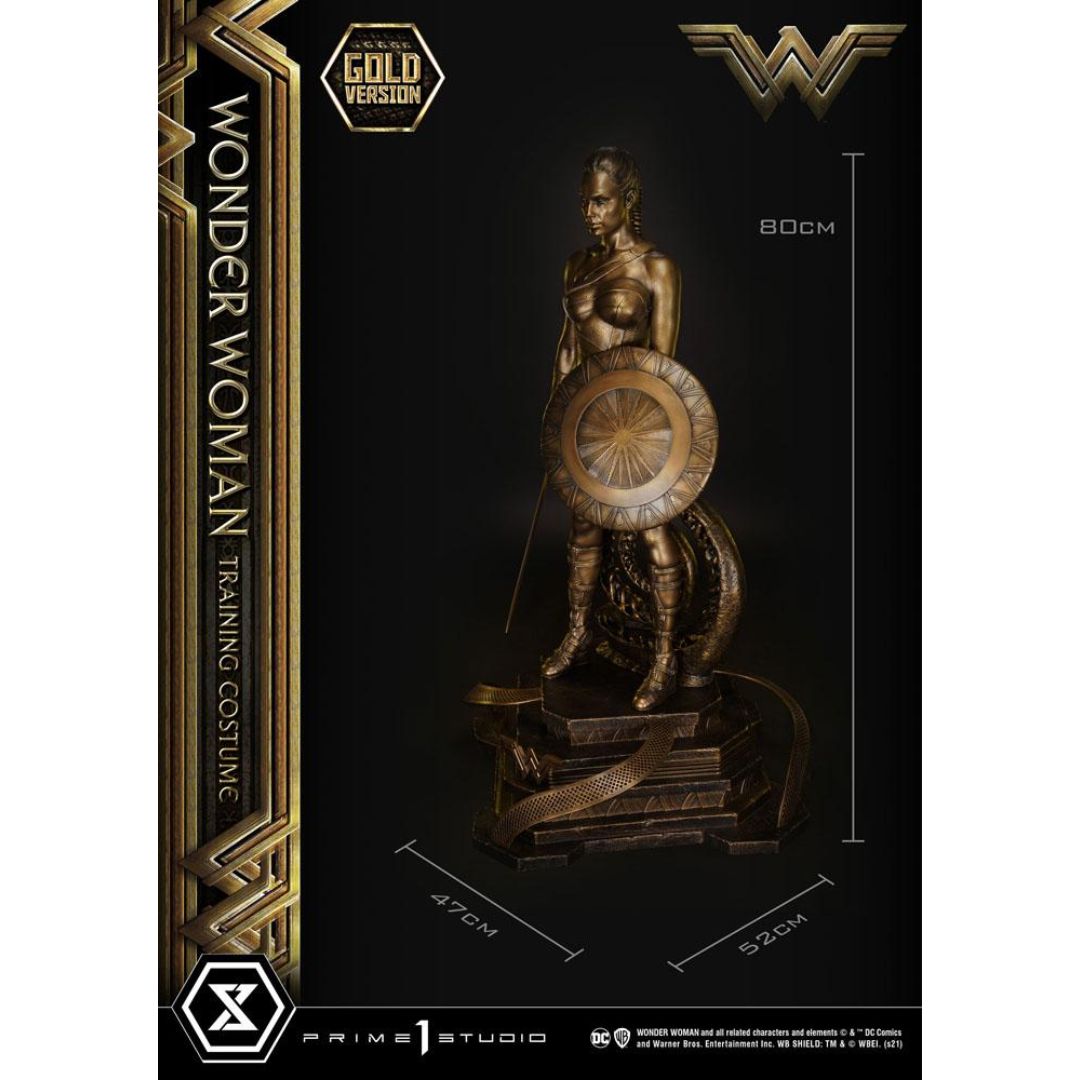 Wonder Woman (Film) Wonder Woman Training Costume Gold Version Statue By Prime1 Studios -Prime 1 Studio - India - www.superherotoystore.com