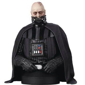 Star Wars: Return of The Jedi Darth Vader Unhelmeted 1:6 Scale Mini-Bust  by Diamond Gallery -Diamond Gallery - India - www.superherotoystore.com