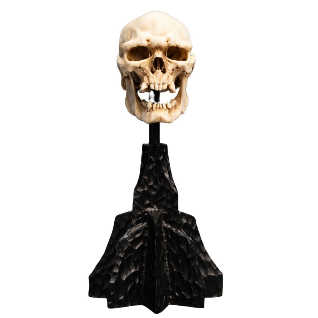 The Lord Of The Rings Skull Of A Mordor Orc Miniature Statue By Weta Workshop -Weta Workshop - India - www.superherotoystore.com