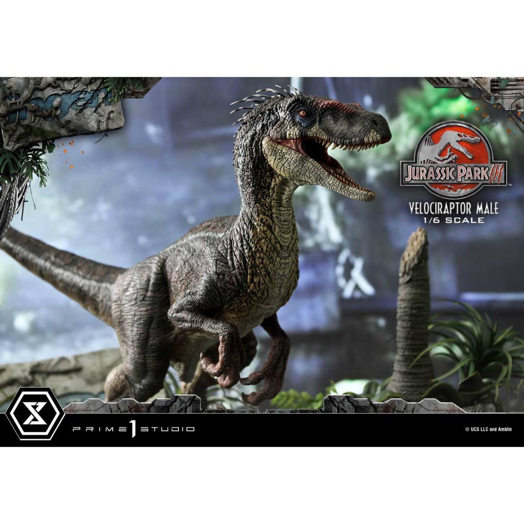 Jurassic Park III (Film) Velociraptor Male Statue by Prime1 Studios -Prime 1 Studio - India - www.superherotoystore.com