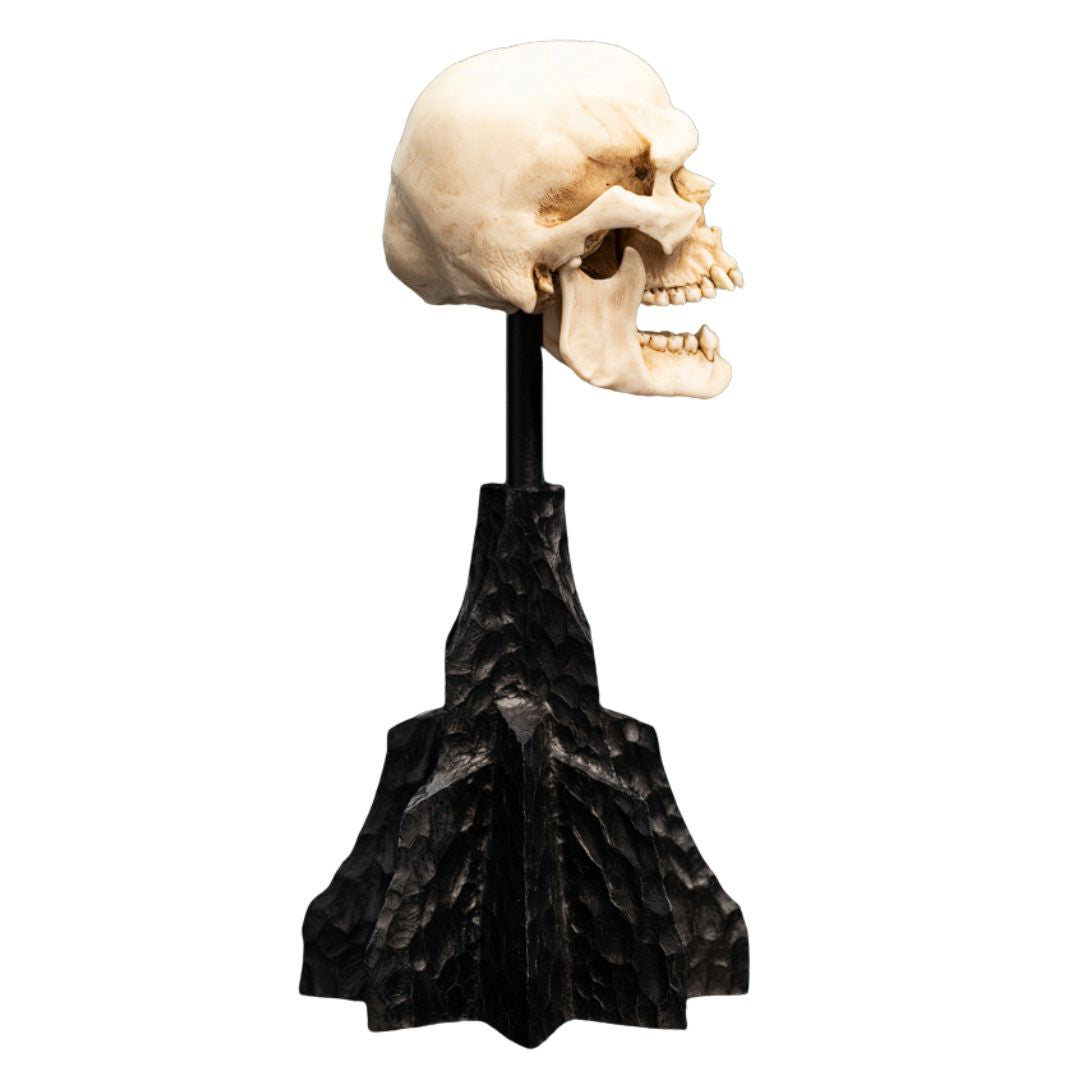 The Lord Of The Rings Skull Of A Mordor Orc Miniature Statue By Weta Workshop -Weta Workshop - India - www.superherotoystore.com