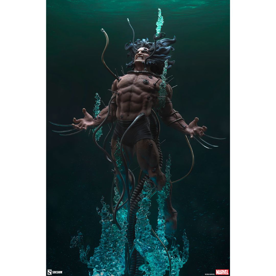 Wolverine: Weapon X Premium Format Statue By Sideshow Collectibles -Sideshow Collectibles - India - www.superherotoystore.com