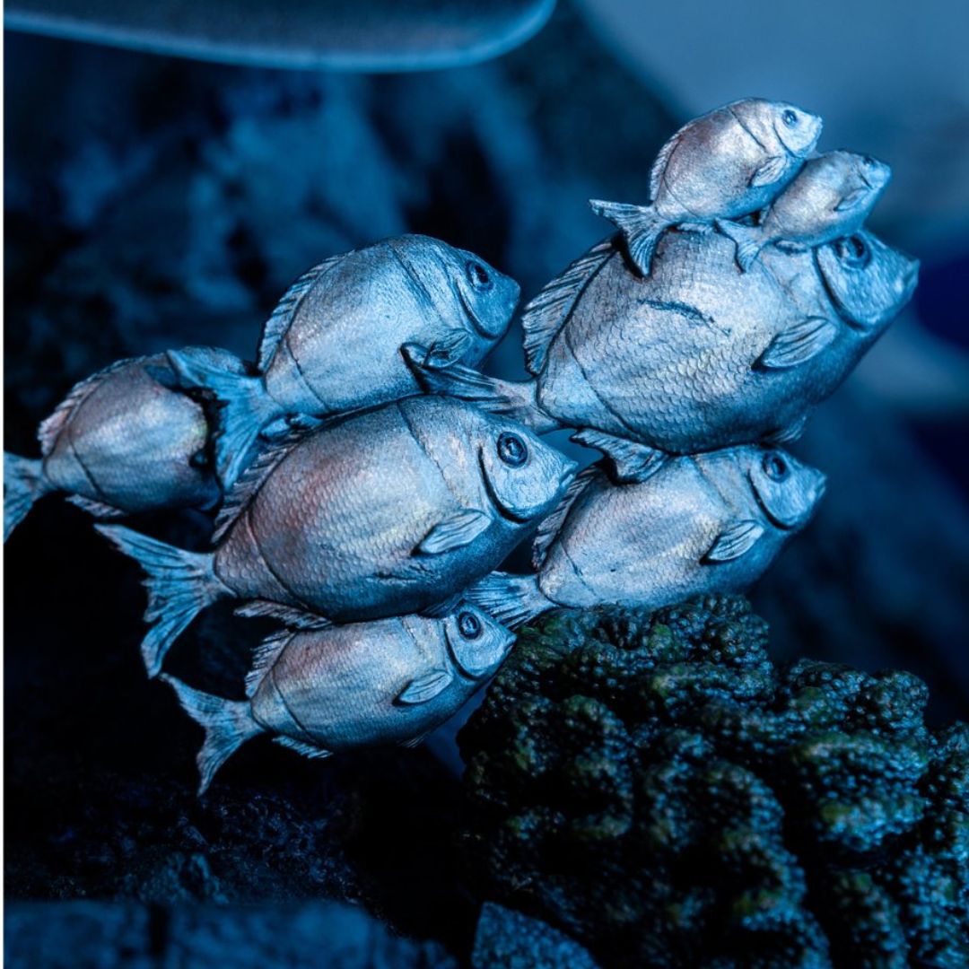 Tomb Raider Lara Croft Quest For Avalon Limited Edition 1:4 Scale Statue By Weta Workshop -Weta Workshop - India - www.superherotoystore.com