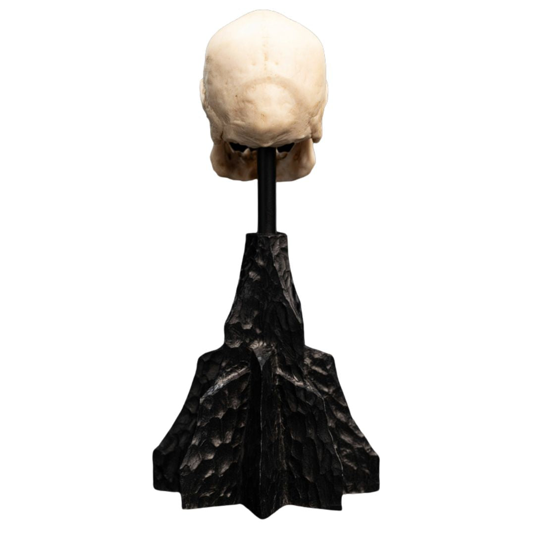 The Lord Of The Rings Skull Of A Mordor Orc Miniature Statue By Weta Workshop -Weta Workshop - India - www.superherotoystore.com