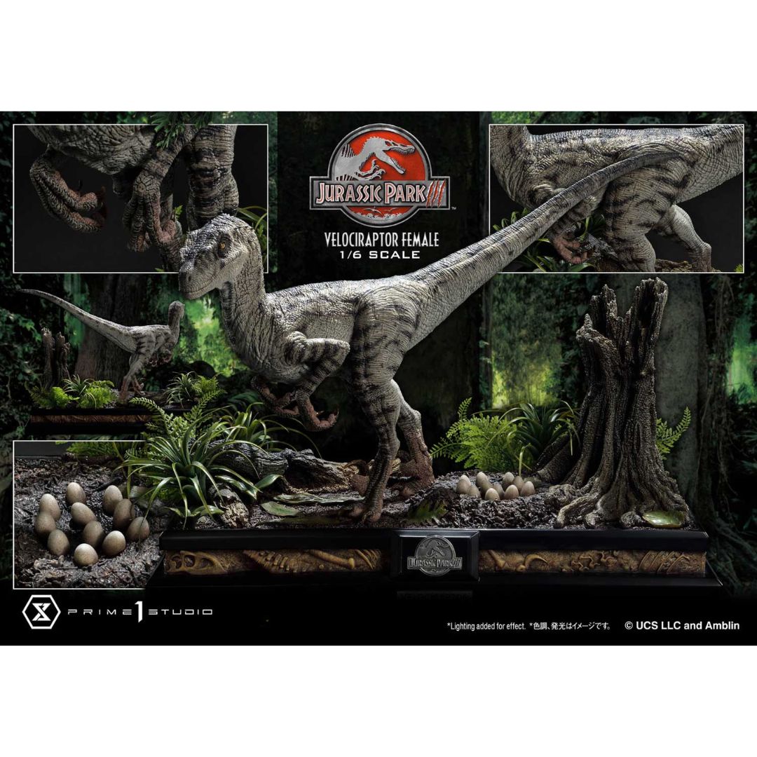 Jurassic Park III (Film) Velociraptor Female Bonus Version Statue by Prime1 Studios -Prime 1 Studio - India - www.superherotoystore.com