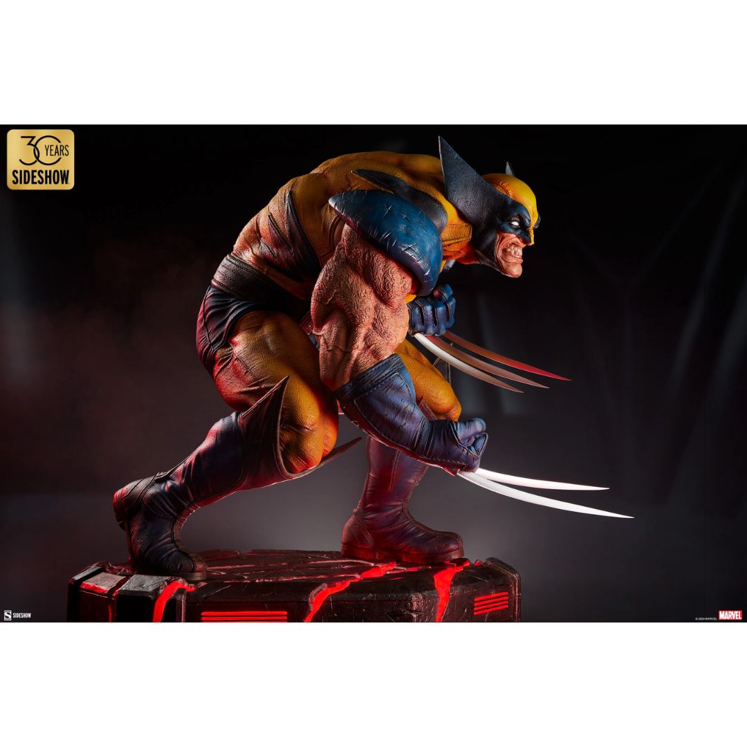 Wolverine: Berserker Rage Statue by Sideshow Collectibles -Iron Studios - India - www.superherotoystore.com