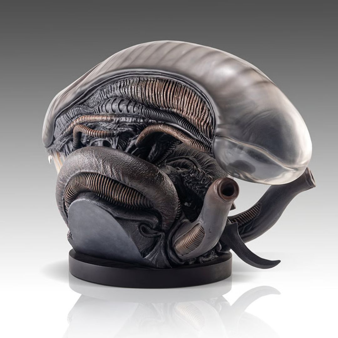 Xenomorph Life-Size Bust By Hollywood Collectibles Group -Hollywood Collectibles Group - India - www.superherotoystore.com