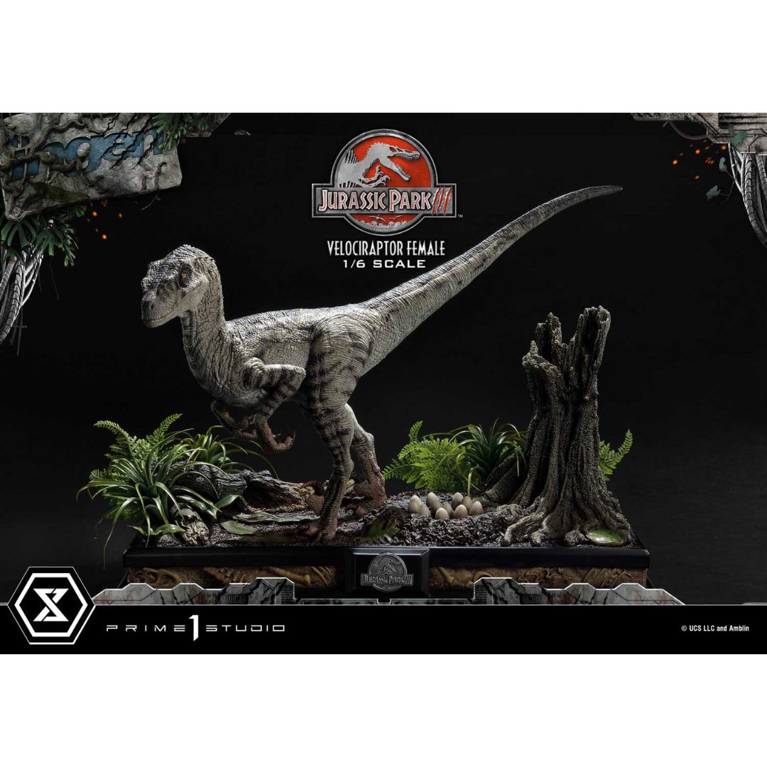 Jurassic Park III (Film) Velociraptor Female Bonus Version Statue by Prime1 Studios -Prime 1 Studio - India - www.superherotoystore.com
