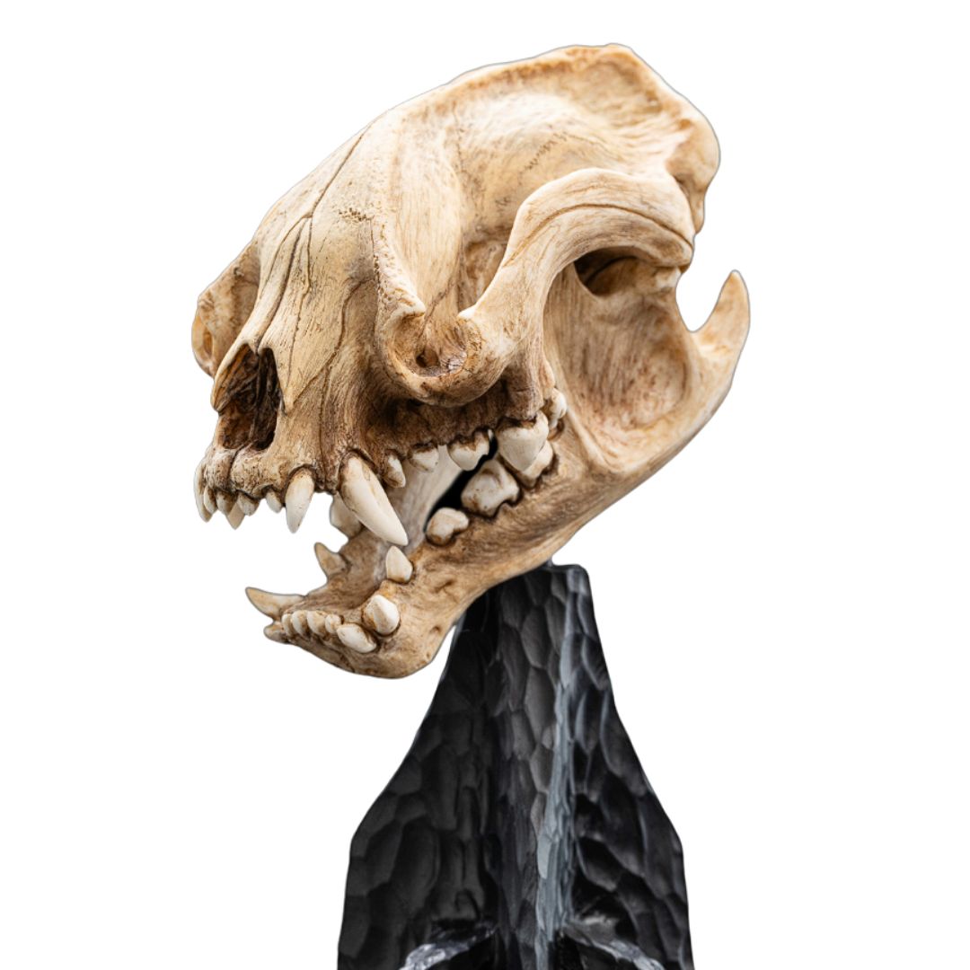 The Lord Of The Rings Skull Of A Warg Miniature Statue By Weta Workshop -Weta Workshop - India - www.superherotoystore.com