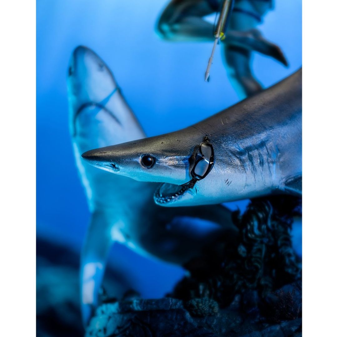 Tomb Raider Lara Croft Quest For Avalon Limited Edition 1:4 Scale Statue By Weta Workshop -Weta Workshop - India - www.superherotoystore.com