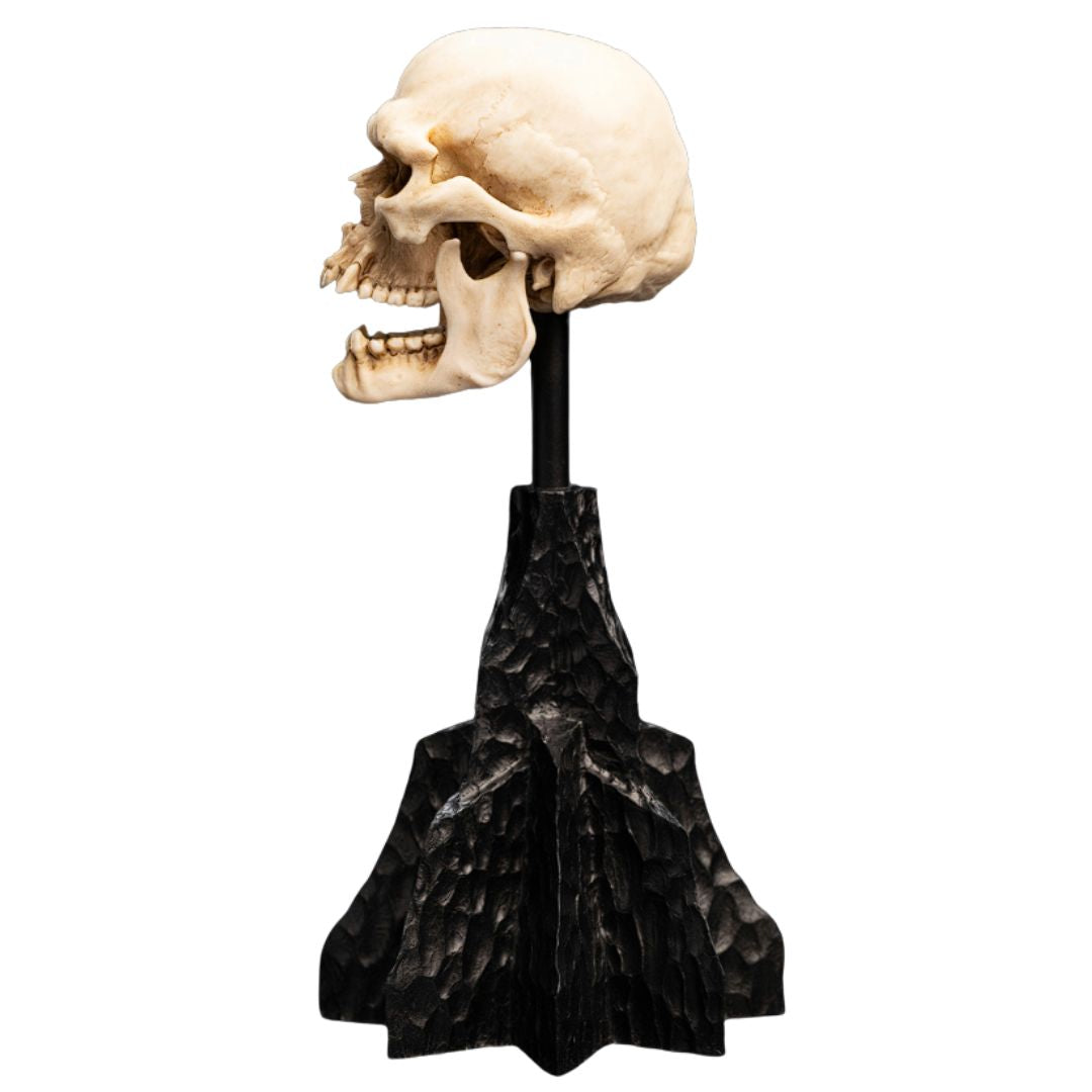 The Lord Of The Rings Skull Of A Mordor Orc Miniature Statue By Weta Workshop -Weta Workshop - India - www.superherotoystore.com