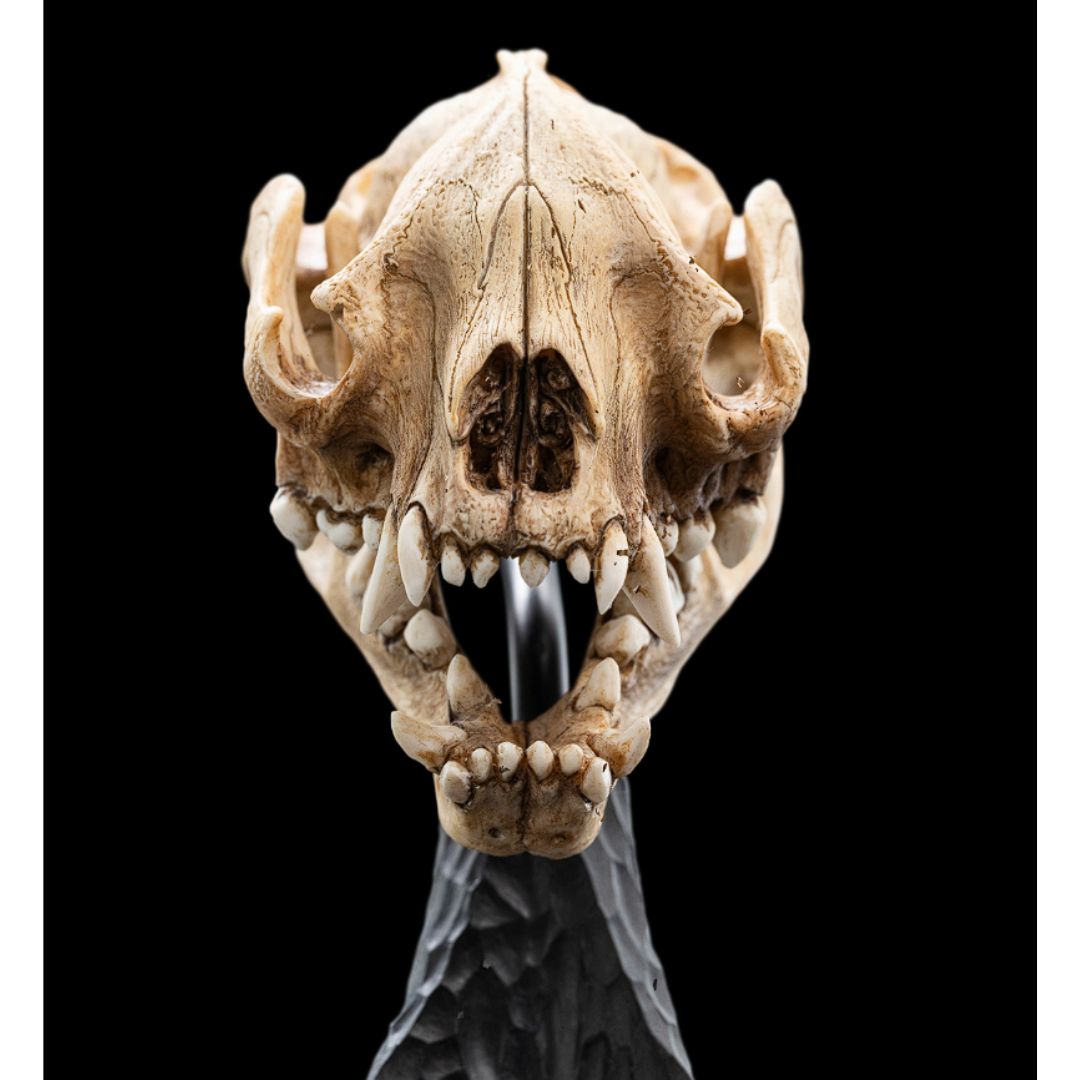 The Lord Of The Rings Skull Of A Warg Miniature Statue By Weta Workshop -Weta Workshop - India - www.superherotoystore.com