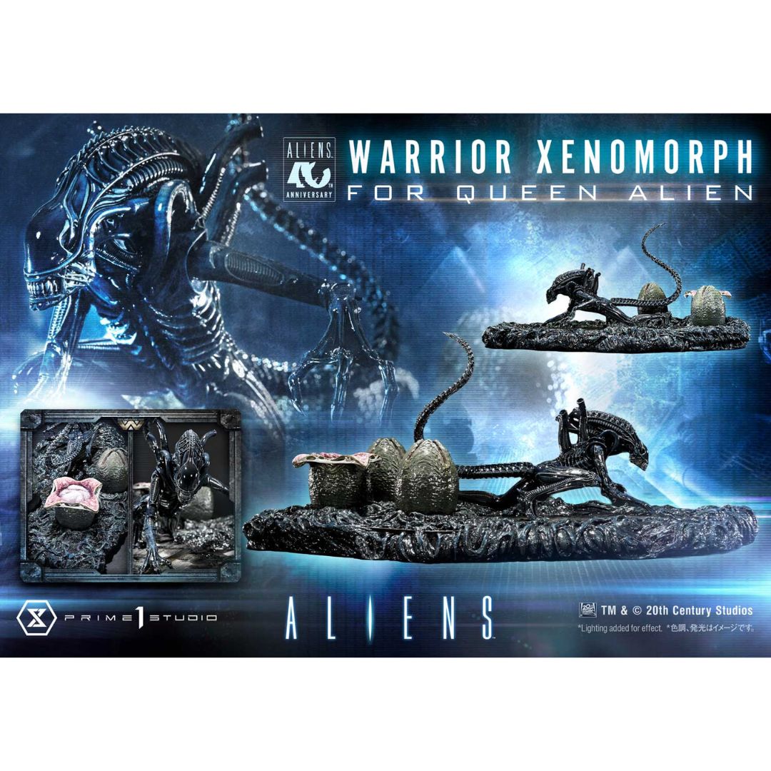 Aliens Warrior Xenomorph By Prime1 Studios