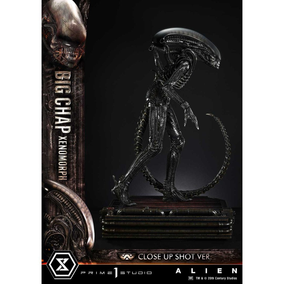 Alien (Film) Big Chap Xenomorph By Prime1 Studios
