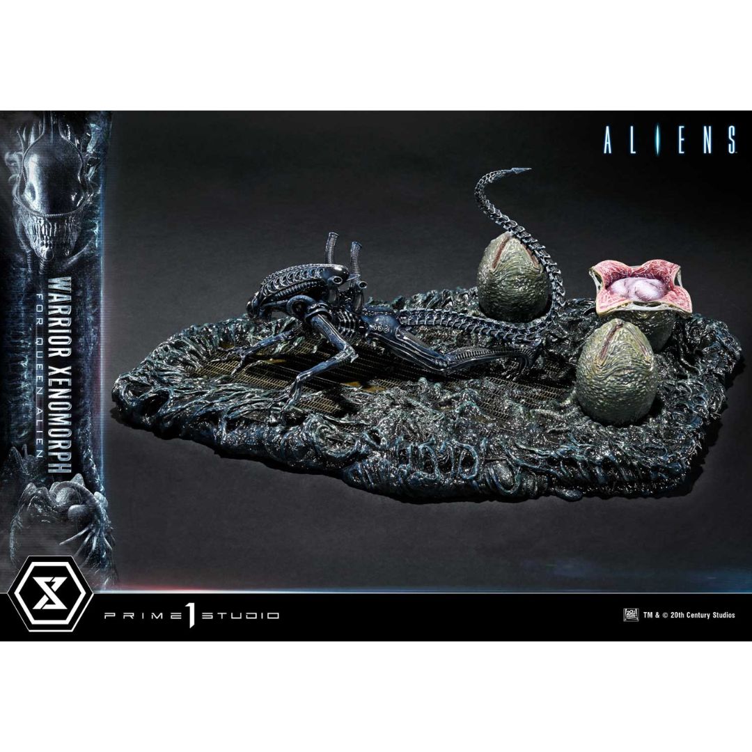 Aliens Warrior Xenomorph By Prime1 Studios