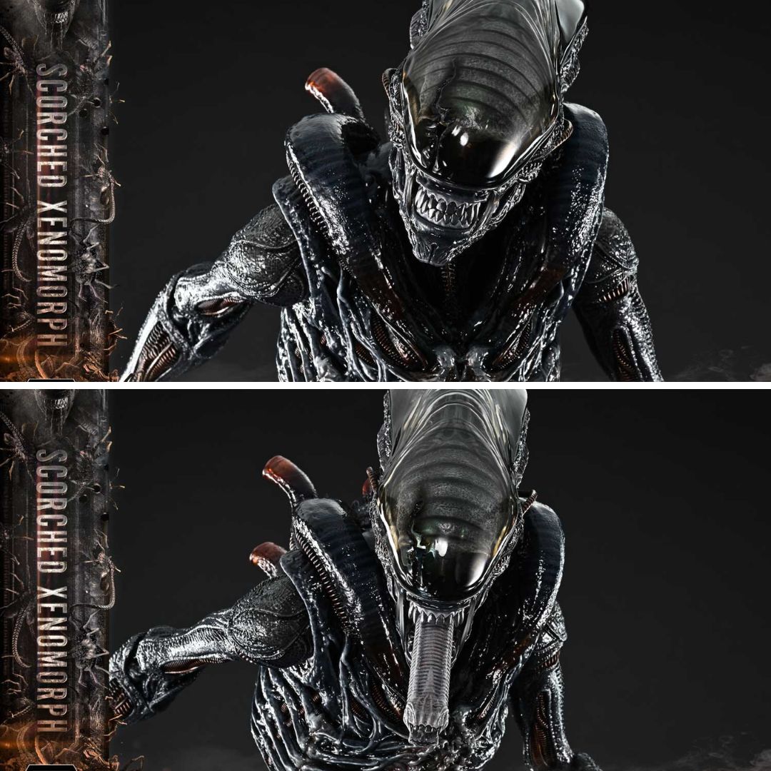 Alien: Romulus Scorched Xenomorph Deluxe Statue By Prime1 Studios -Prime1 Studios - India - www.superherotoystore.com