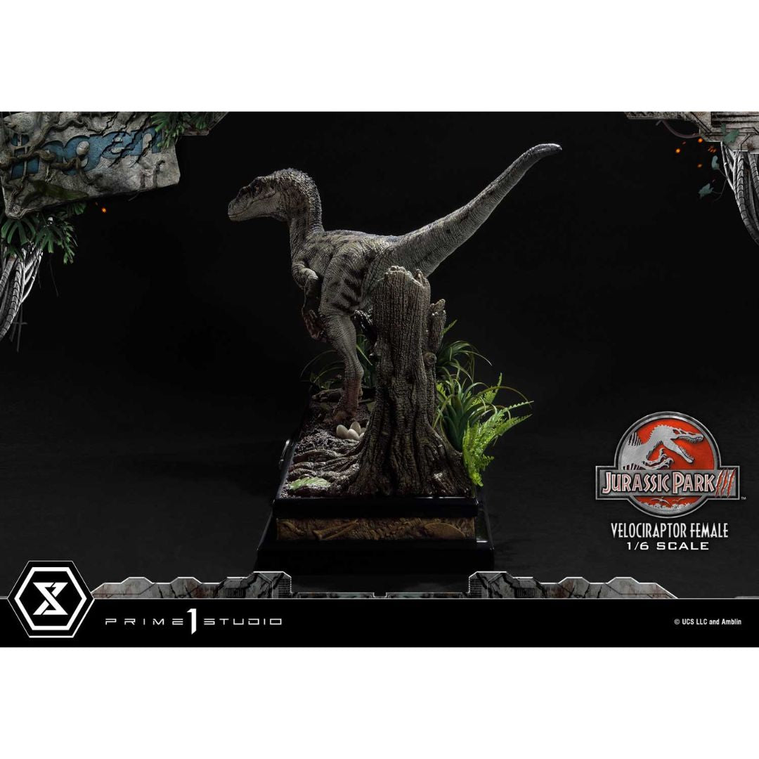 Jurassic Park III (Film) Velociraptor Female Bonus Version Statue by Prime1 Studios -Prime 1 Studio - India - www.superherotoystore.com