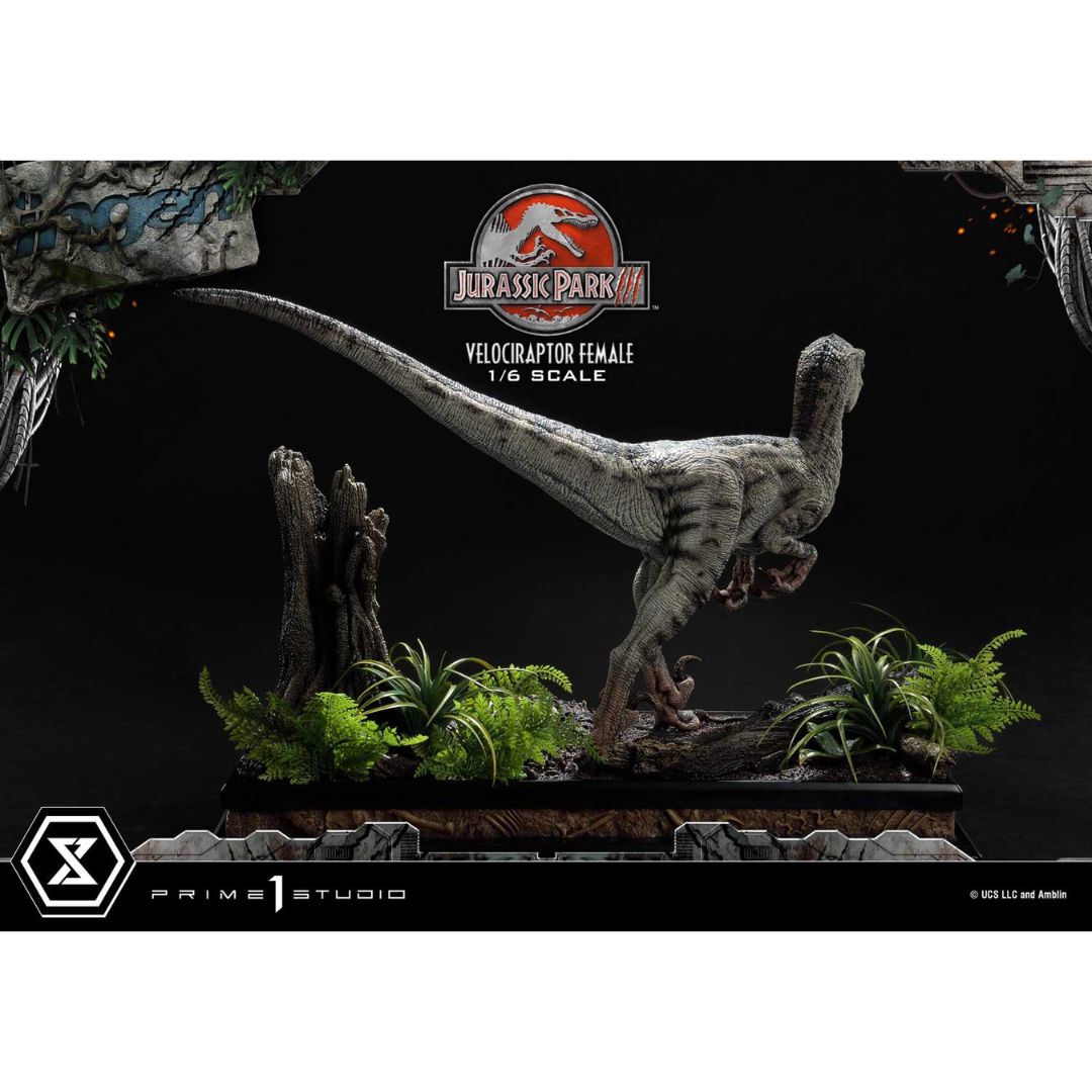 Jurassic Park III (Film) Velociraptor Female Bonus Version Statue by Prime1 Studios -Prime 1 Studio - India - www.superherotoystore.com