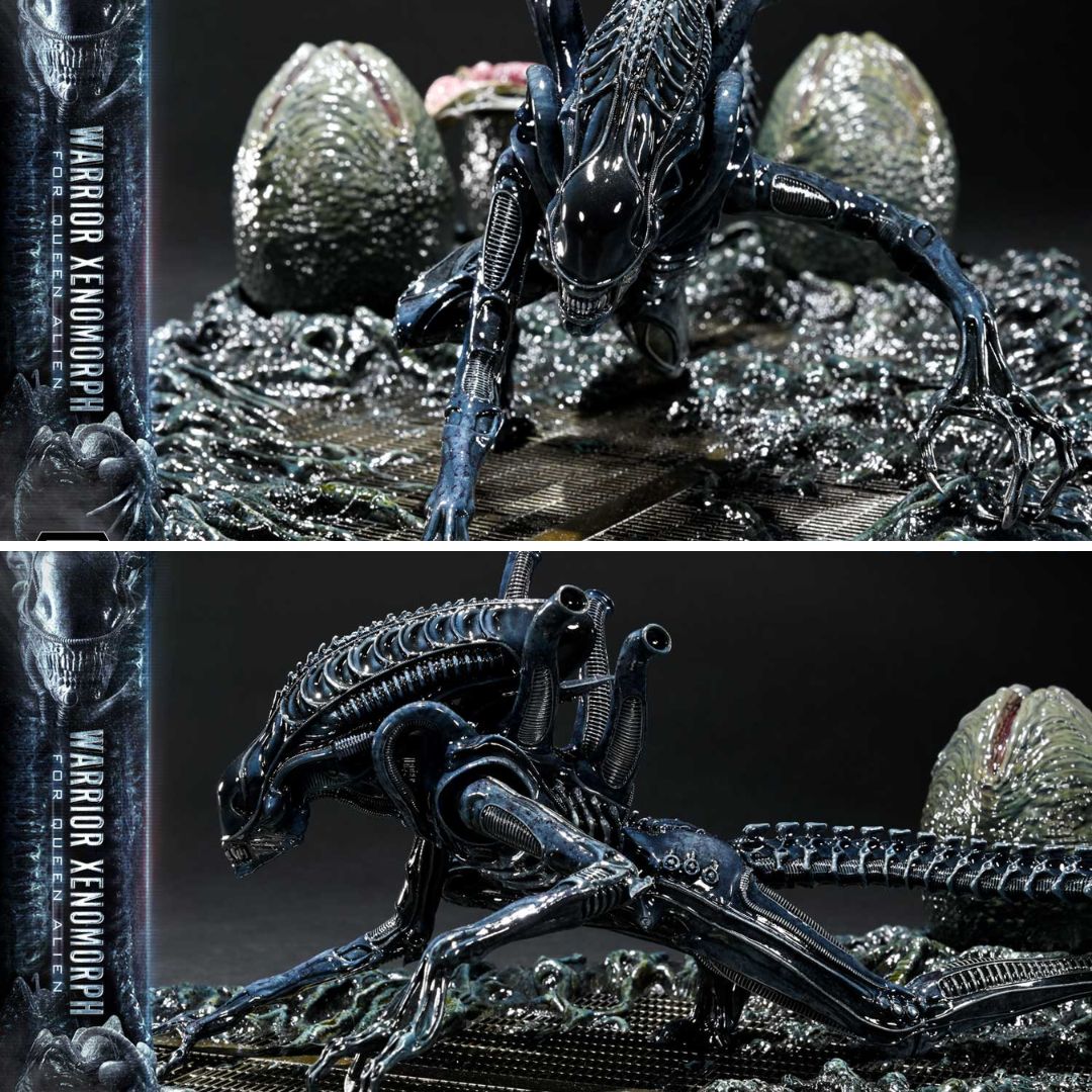 Aliens Warrior Xenomorph By Prime1 Studios