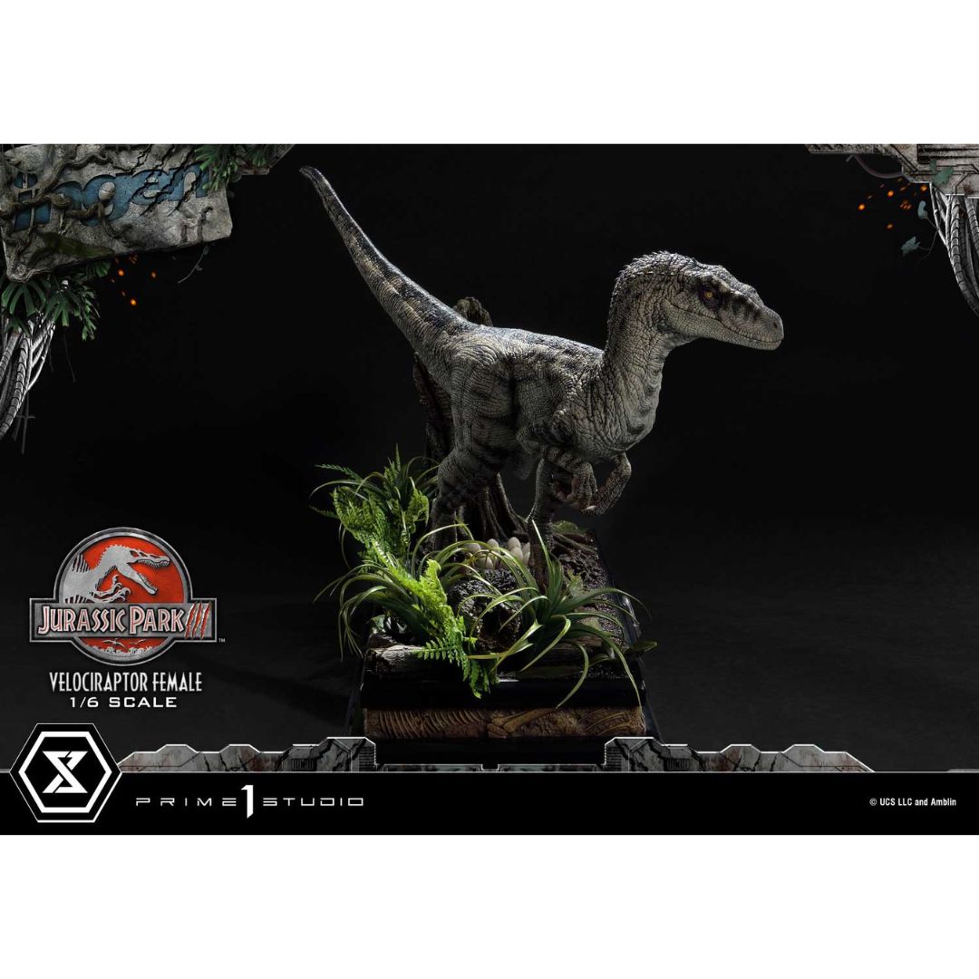 Jurassic Park III (Film) Velociraptor Female Bonus Version Statue by Prime1 Studios -Prime 1 Studio - India - www.superherotoystore.com