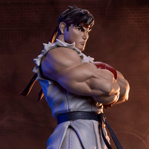 Ryu & Dan Collectible Set of Statues by PCS -PCS Studios - India - www.superherotoystore.com