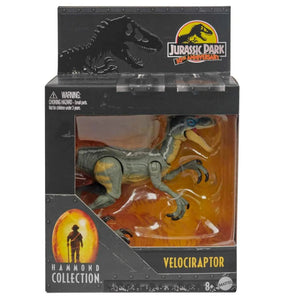 Jurassic World Hammond Collection Velociraptor Figure by Mattel -Mattel - India - www.superherotoystore.com
