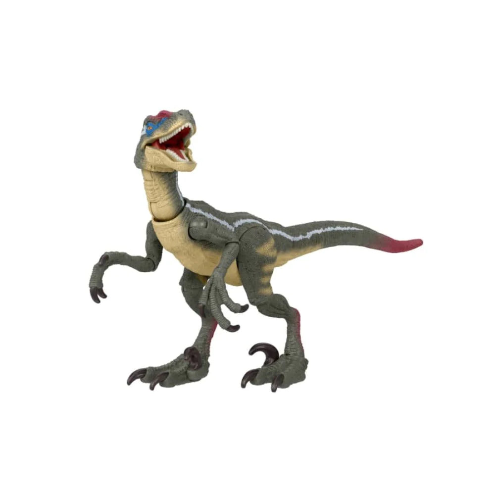 Jurassic World Hammond Collection Velociraptor Figure by Mattel -Mattel - India - www.superherotoystore.com