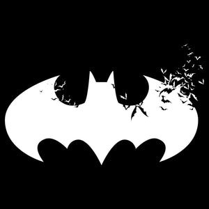 The Batman Chronicles Batman Logo T-Shirt -Entertainment Store - India - www.superherotoystore.com