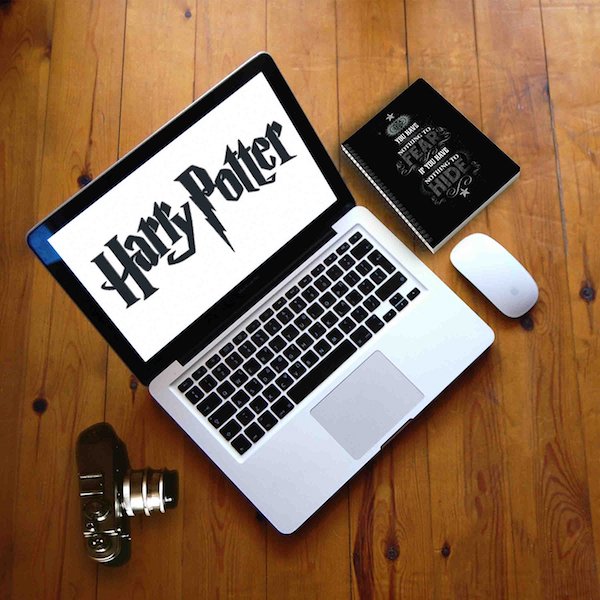 Harry Potter Nothing to Hide Notebook by MC Sidd Razz -MC Sidd Razz - India - www.superherotoystore.com